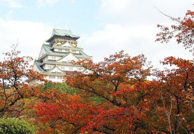 大阪紅葉21 大阪 秋の風物詩 紅葉を愉しむ 紅葉おすすめ人気スポット30選 一休 Comレストラン 大阪紅葉21 大阪 秋の風物詩 紅葉を愉しむ 紅葉おすすめ人気スポット30選 一休 Comレストラン