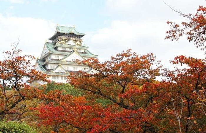 堺紅葉21 堺 秋の風物詩 紅葉を愉しむ 紅葉おすすめ人気スポット22選 一休 Comレストラン 堺紅葉21 堺 秋の風物詩 紅葉を愉しむ 紅葉おすすめ人気スポット22選 一休 Comレストラン