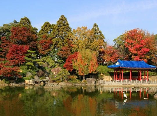 犬鳴山の紅葉 大阪 泉佐野 人気紅葉スポット 一休 Comレストラン 犬鳴山の紅葉 大阪 泉佐野 人気紅葉スポット 一休 Comレストラン