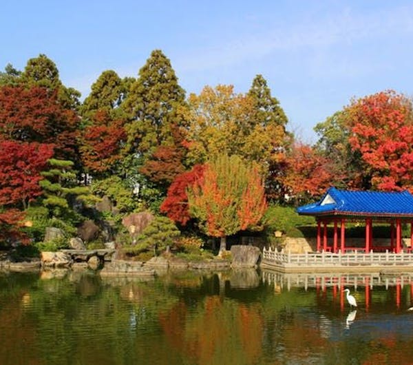 大仙公園日本庭園 大阪 堺 人気紅葉スポット 一休 Comレストラン