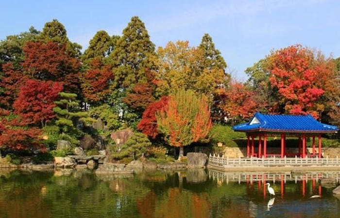 中之島紅葉21 中之島 秋の風物詩 紅葉を愉しむ 紅葉おすすめ人気スポット27選 一休 Comレストラン 中之島紅葉21 中之島 秋の風物詩 紅葉を愉しむ 紅葉おすすめ人気スポット27選 一休 Comレストラン