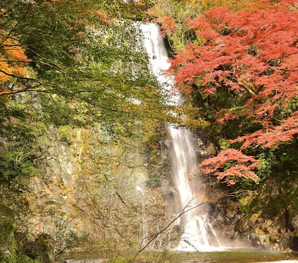 箕面大滝 大阪 茨木 高槻 箕面 伊丹空港 人気紅葉スポット 一休 Comレストラン 箕面大滝 大阪 茨木 高槻 箕面 伊丹空港 人気紅葉スポット 一休 Comレストラン