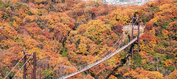笠置紅葉21 笠置 秋の風物詩 紅葉を愉しむ 紅葉おすすめ人気スポット30選 一休 Comレストラン 笠置紅葉21 笠置 秋の風物詩 紅葉を愉しむ 紅葉おすすめ人気スポット30選 一休 Comレストラン
