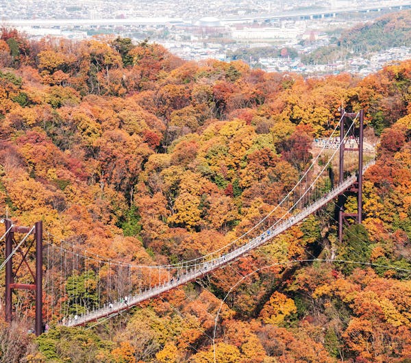 ほしだ園地 大阪 交野 人気紅葉スポット 一休 Comレストラン