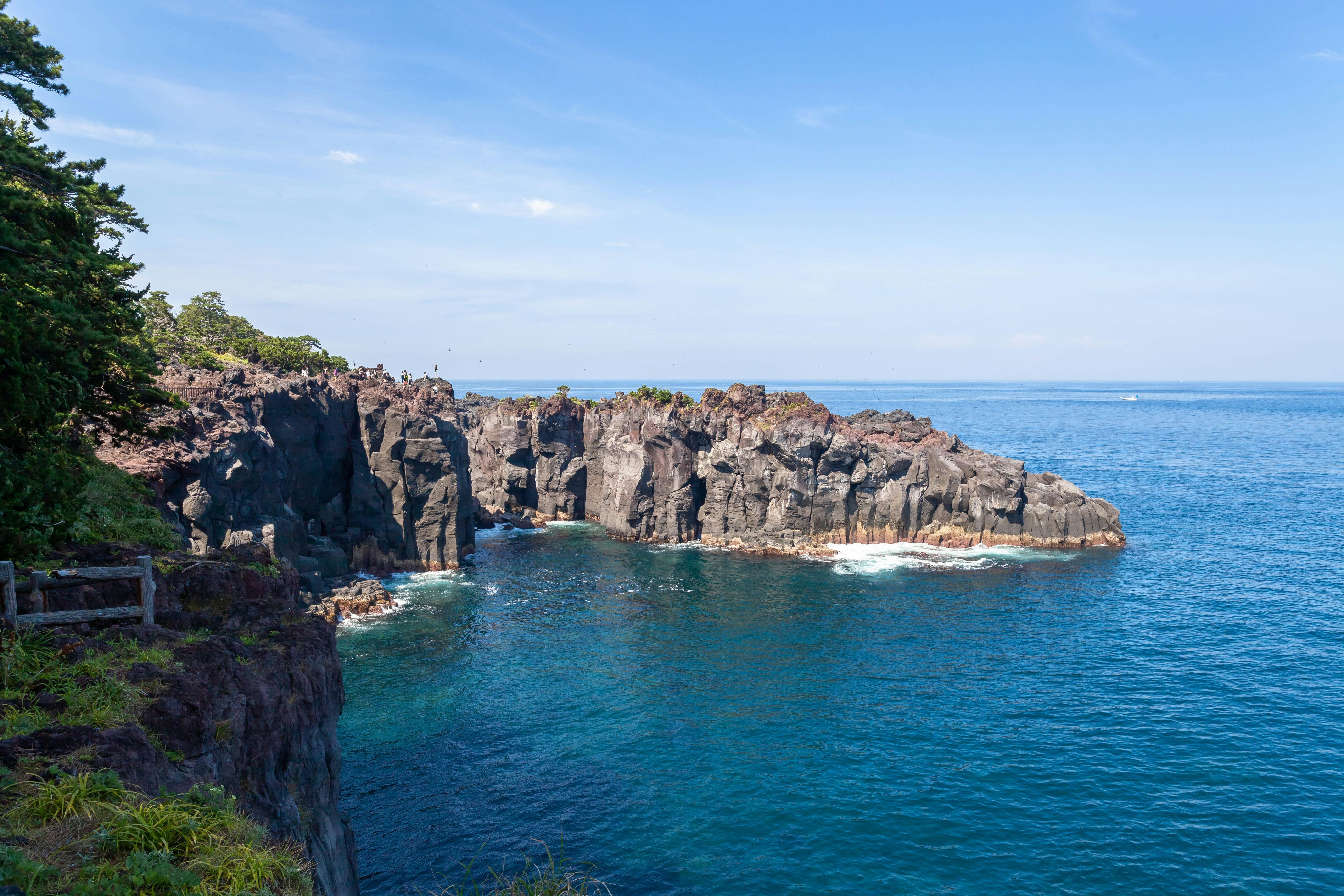 高原 観光 伊豆