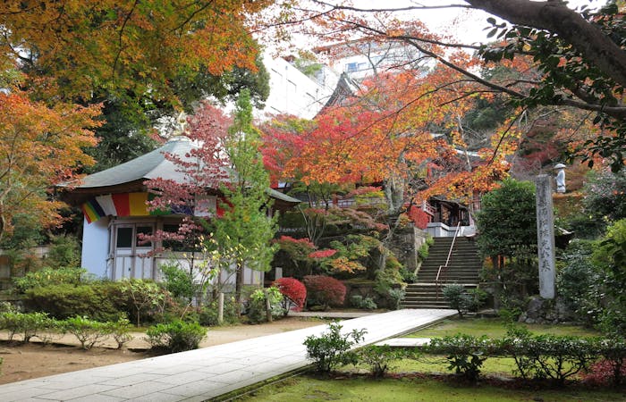 薬王院温泉寺 石川 加賀 人気スポット 一休 Com 薬王院温泉寺 石川 加賀 人気スポット 一休 Com