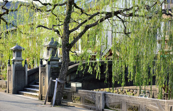 大谿川の柳並木 兵庫 城崎温泉 人気スポット 一休 Com 大谿川の柳並木 兵庫 城崎温泉 人気スポット 一休 Com