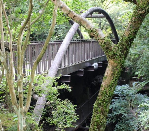 万葉公園 神奈川 湯河原温泉 人気スポット 一休 Com 万葉公園 神奈川 湯河原温泉 人気スポット 一休 Com