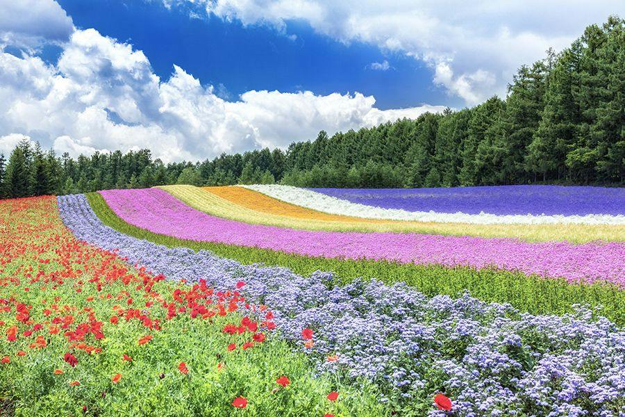 北海道