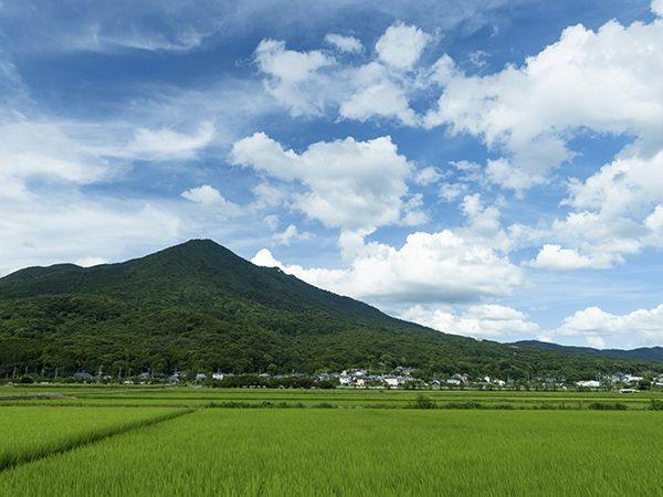茨城