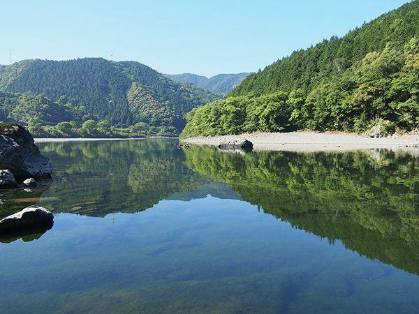 高知