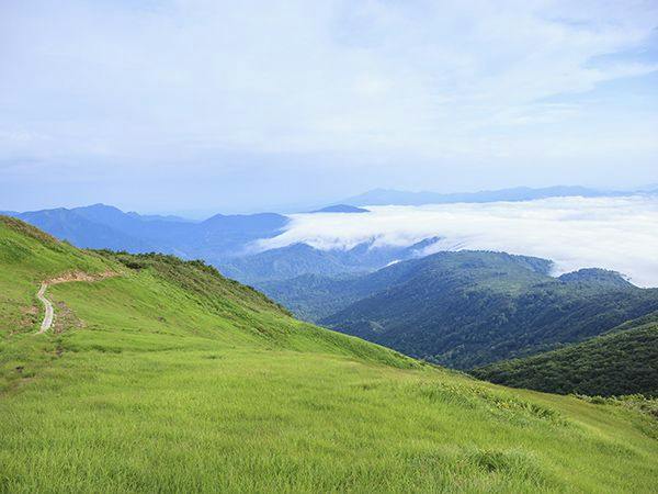 新潟
