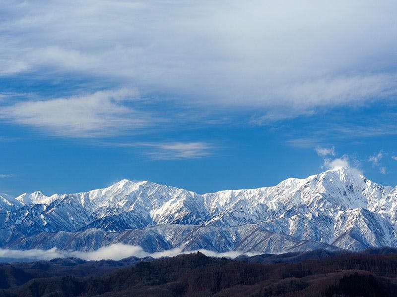 この冬おすすめ！特集