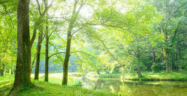 軽井沢