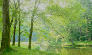軽井沢