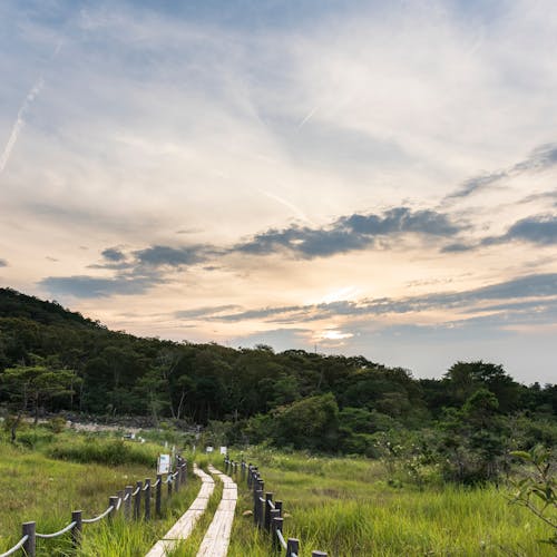 22年 豊橋で人気の観光 お出かけスポット 29選 Yahoo トラベル 22年 豊橋で人気の観光 お出かけスポット 29選 Yahoo トラベル