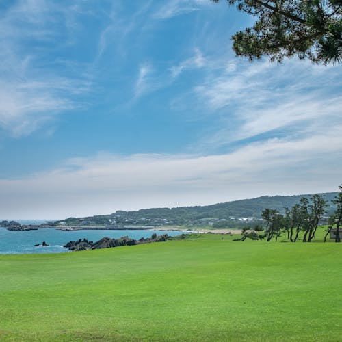 21年 八戸観光で行きたい名所 八戸旅行おすすめ人気スポット Yahoo トラベル 21年 八戸観光で行きたい名所 八戸旅行おすすめ人気スポット Yahoo トラベル