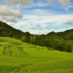 22年 鋸山周辺で人気の観光 お出かけスポット 17選 Yahoo トラベル 22年 鋸山周辺で人気の観光 お出かけスポット 17選 Yahoo トラベル
