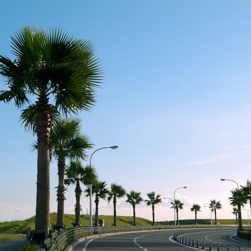 22年 舞浜で人気の観光 お出かけスポット 選 Yahoo トラベル 22年 舞浜で人気の観光 お出かけスポット 選 Yahoo トラベル