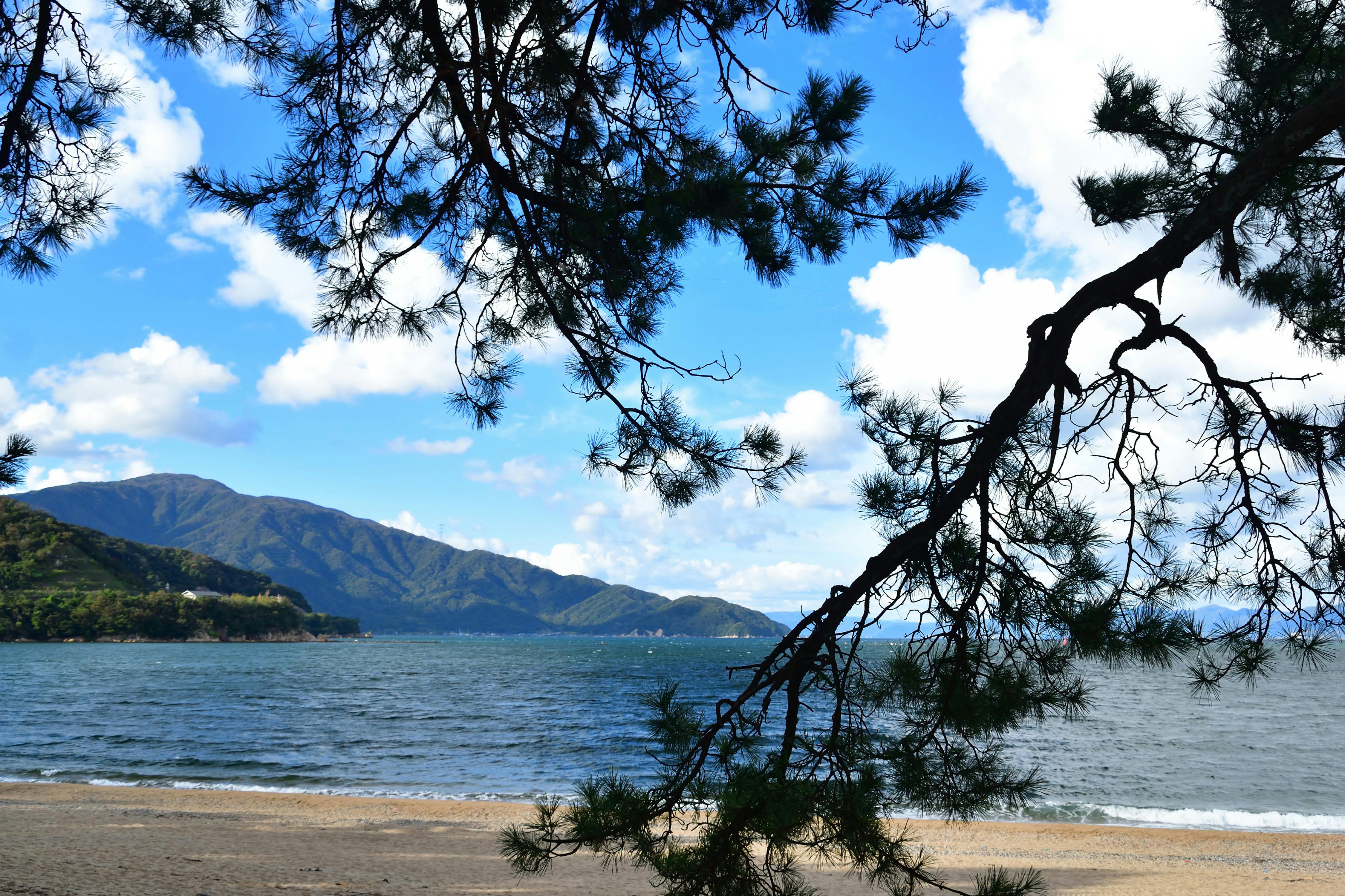 22年 敦賀で人気の観光 お出かけスポット 30選 Yahoo トラベル