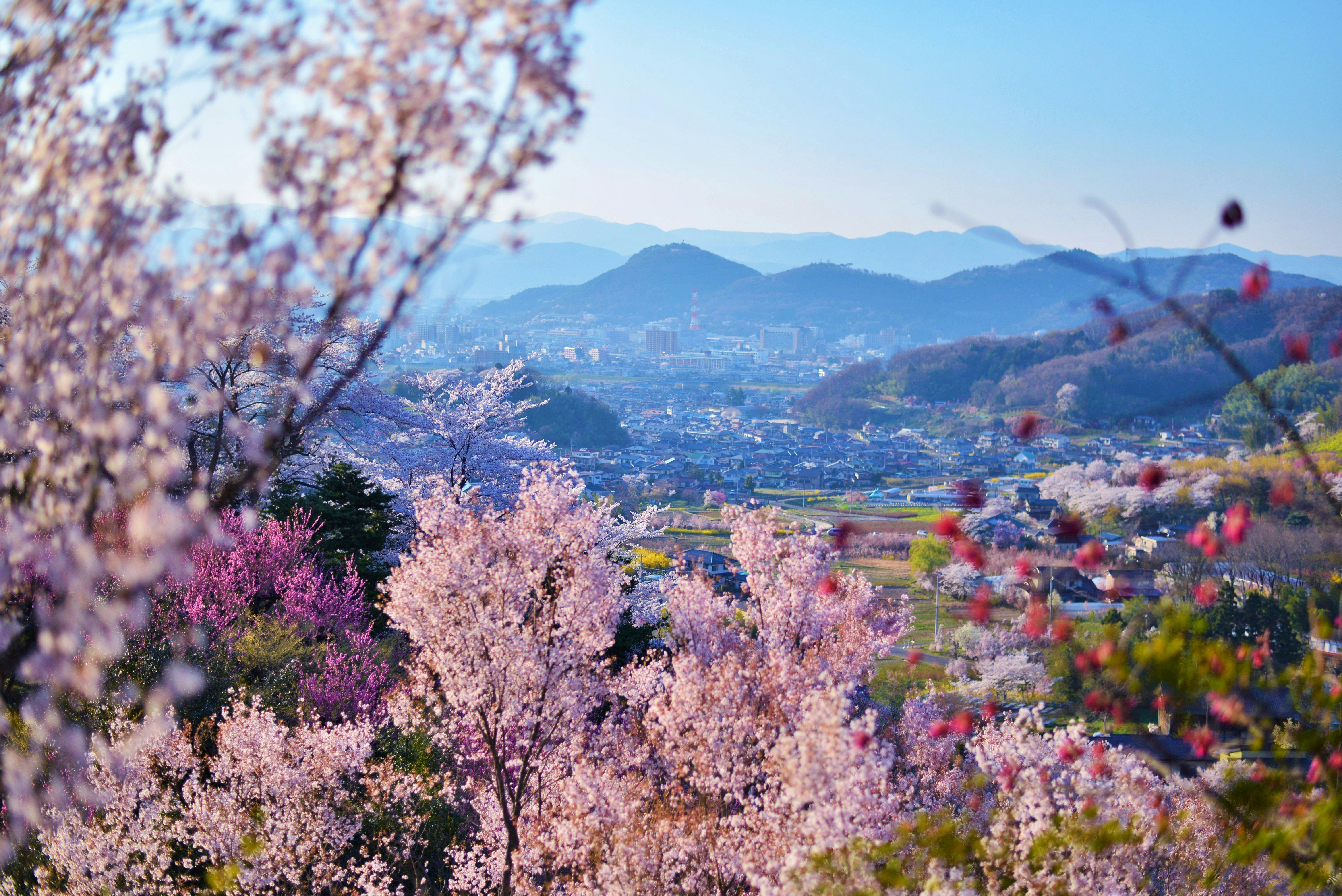 福島市 