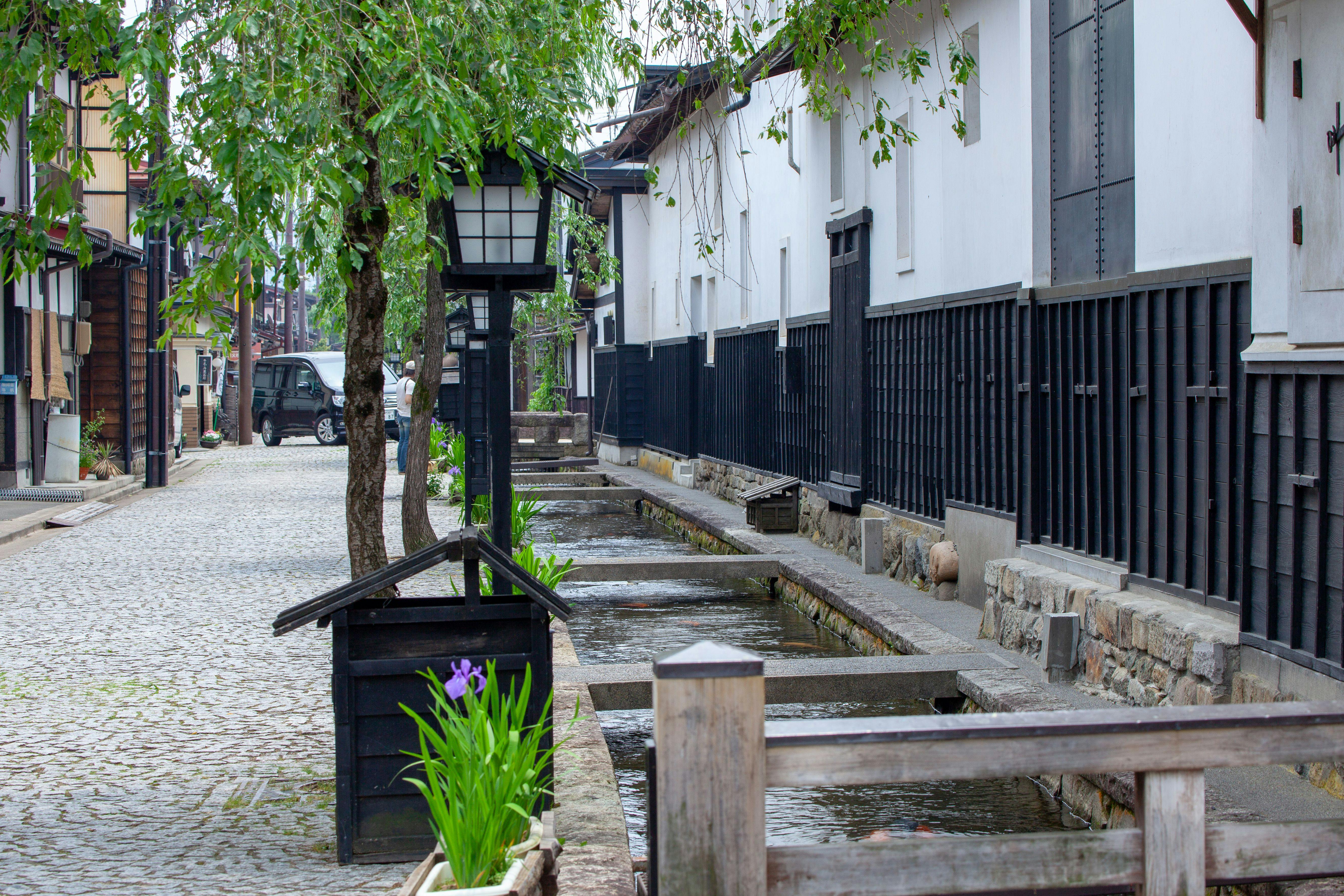 2025年】岐阜の神社で行きたい！岐阜旅行で人気のおすすめ
