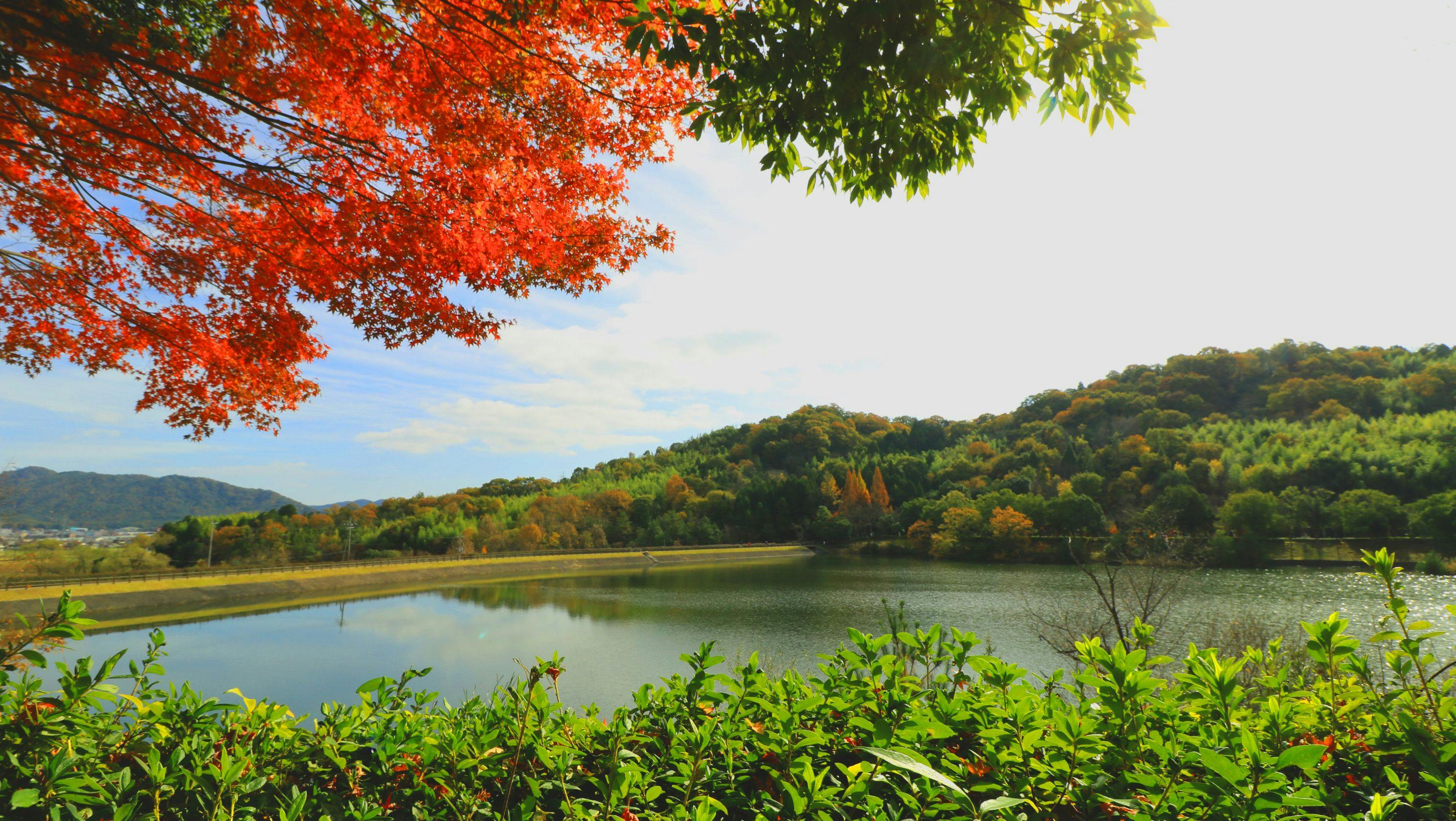 22年 東広島で人気の観光 お出かけスポット 選 Yahoo トラベル