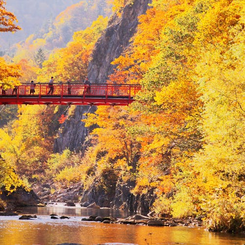 22年 定山渓で人気の観光 お出かけスポット 15選 Yahoo トラベル 22年 定山渓で人気の観光 お出かけスポット 15選 Yahoo トラベル