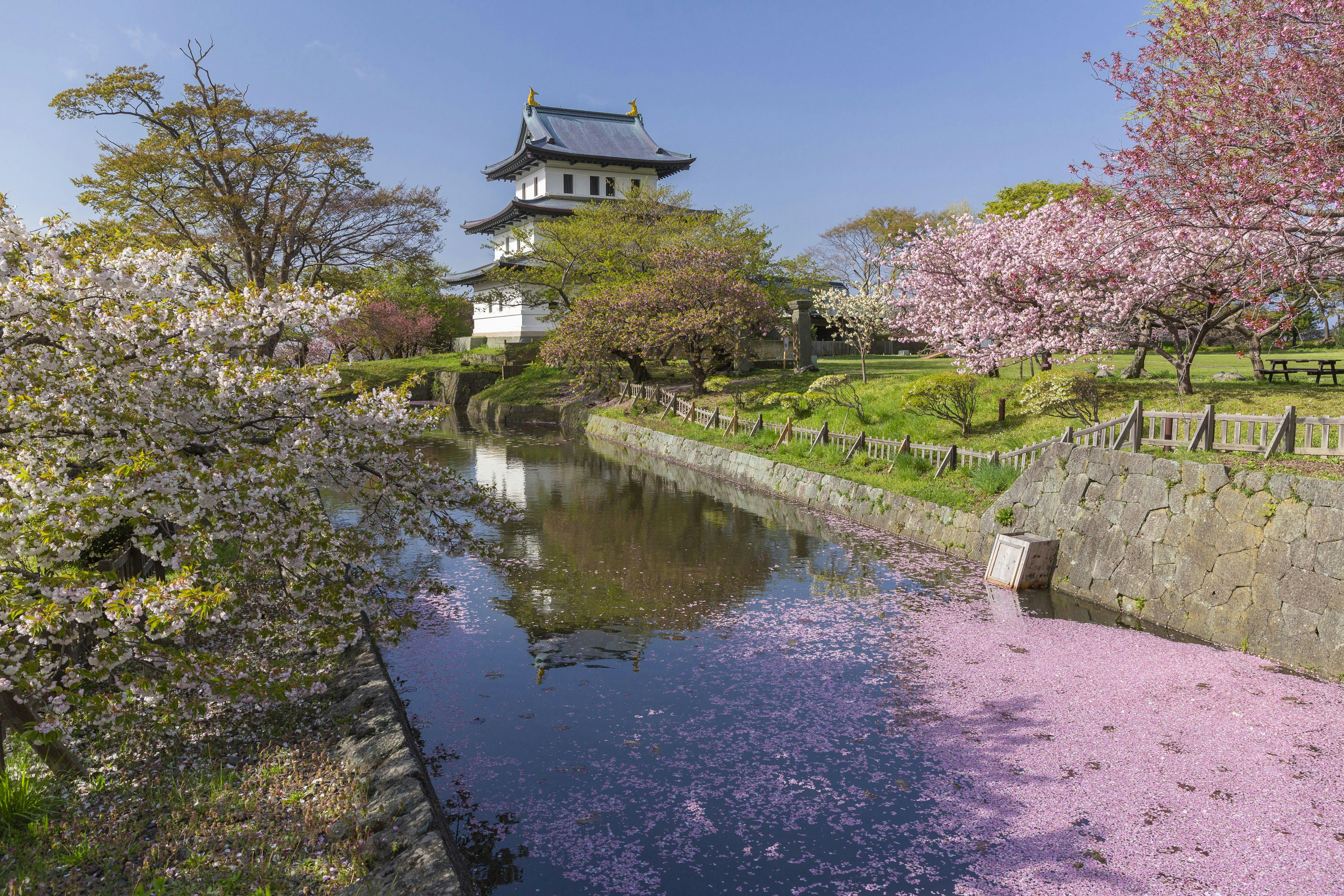 2025年】大沼で人気の観光・お出かけスポット 27選 - Yahoo!トラベル