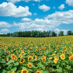 22年 千歳で人気の観光 お出かけスポット 30選 Yahoo トラベル 22年 千歳で人気の観光 お出かけスポット 30選 Yahoo トラベル