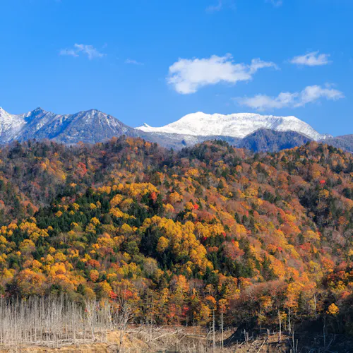 22年 夕張で人気の観光 お出かけスポット 18選 Yahoo トラベル 22年 夕張で人気の観光 お出かけスポット 18選 Yahoo トラベル