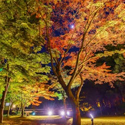 22年 鹿島で人気の観光 お出かけスポット 13選 Yahoo トラベル 22年 鹿島で人気の観光 お出かけスポット 13選 Yahoo トラベル