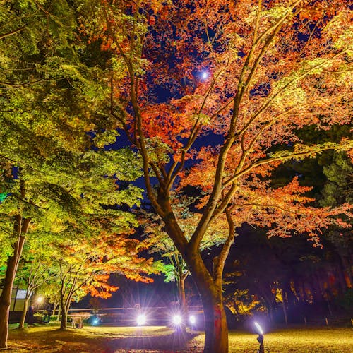 22年 水戸で人気の観光 お出かけスポット 30選 Yahoo トラベル 22年 水戸で人気の観光 お出かけスポット 30選 Yahoo トラベル