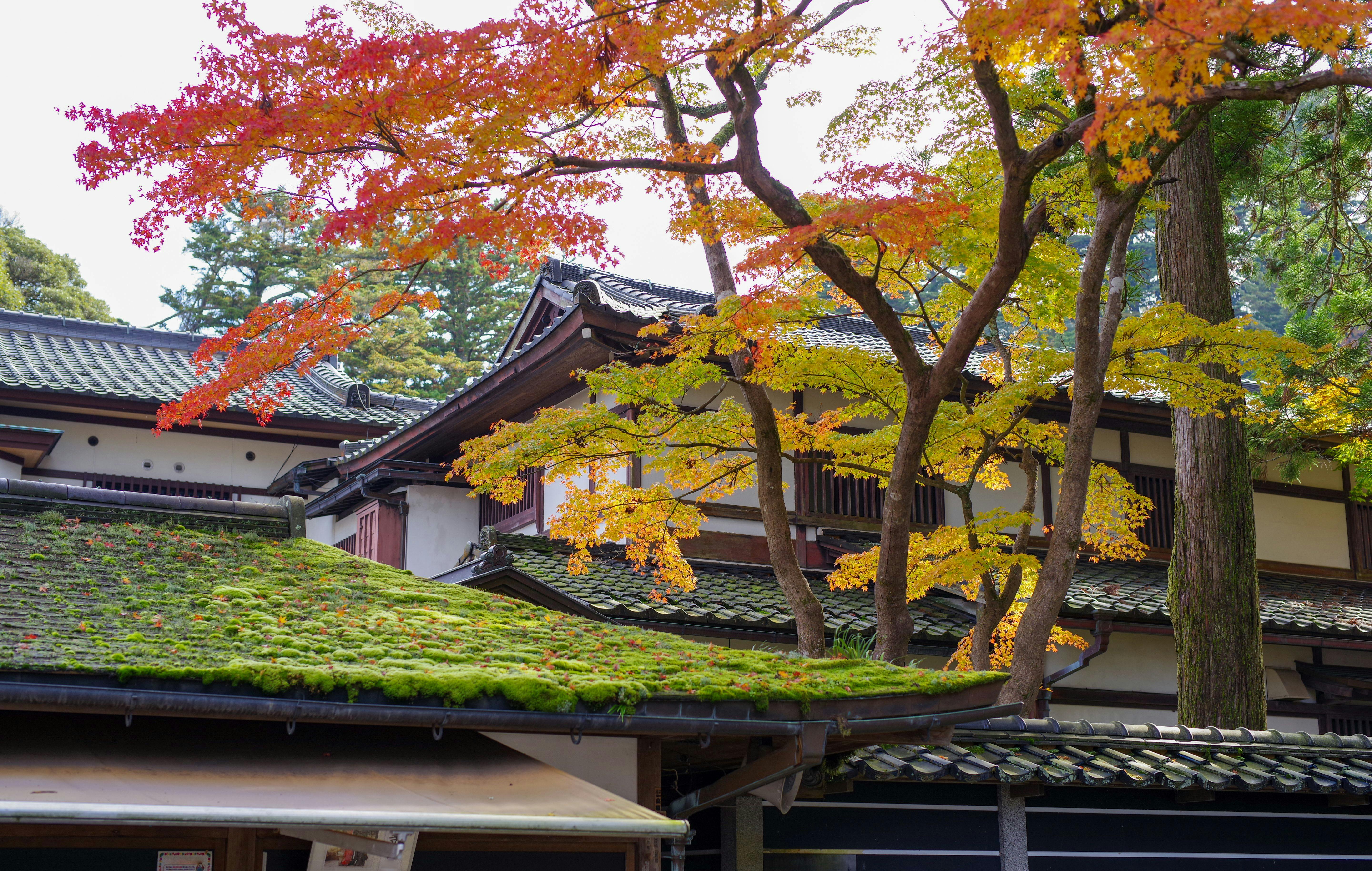 22年 小松で人気の観光 お出かけスポット 30選 Yahoo トラベル