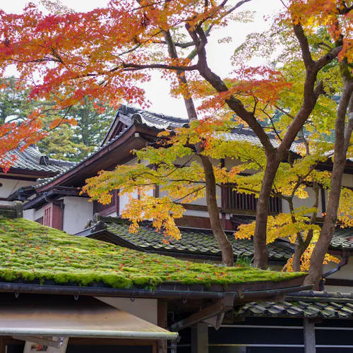 22年 小松で人気の観光 お出かけスポット 30選 Yahoo トラベル 22年 小松で人気の観光 お出かけスポット 30選 Yahoo トラベル