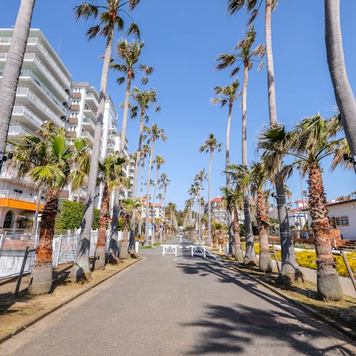 22年 逗子のお土産で行きたい 逗子旅行で人気のおすすめスポット Yahoo トラベル 22年 逗子のお土産で行きたい 逗子旅行で人気のおすすめスポット Yahoo トラベル