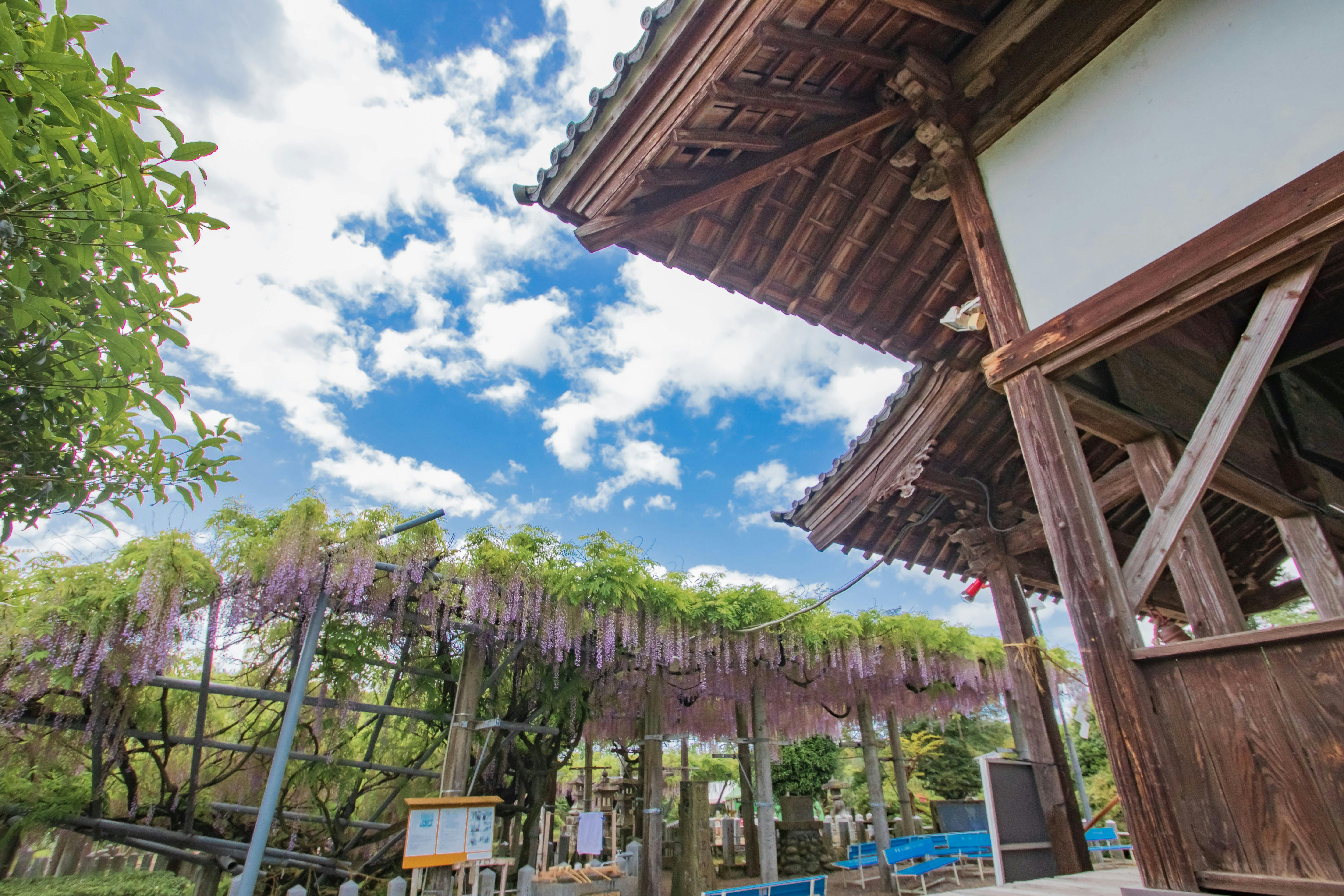 22年 玉名で人気の観光 お出かけスポット 17選 Yahoo トラベル