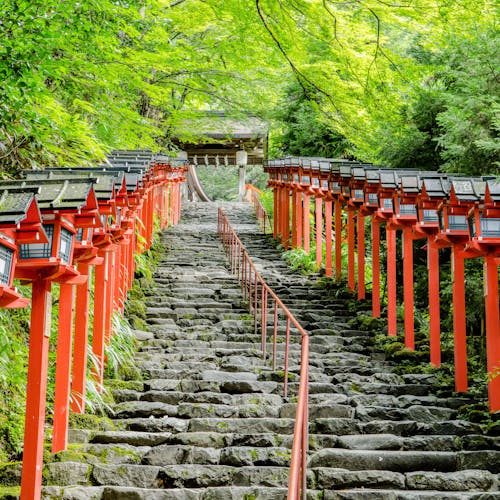 21年 鞍馬 貴船で人気の観光 お出かけスポット 13選 Yahoo トラベル 21年 鞍馬 貴船で人気の観光 お出かけスポット 13選 Yahoo トラベル