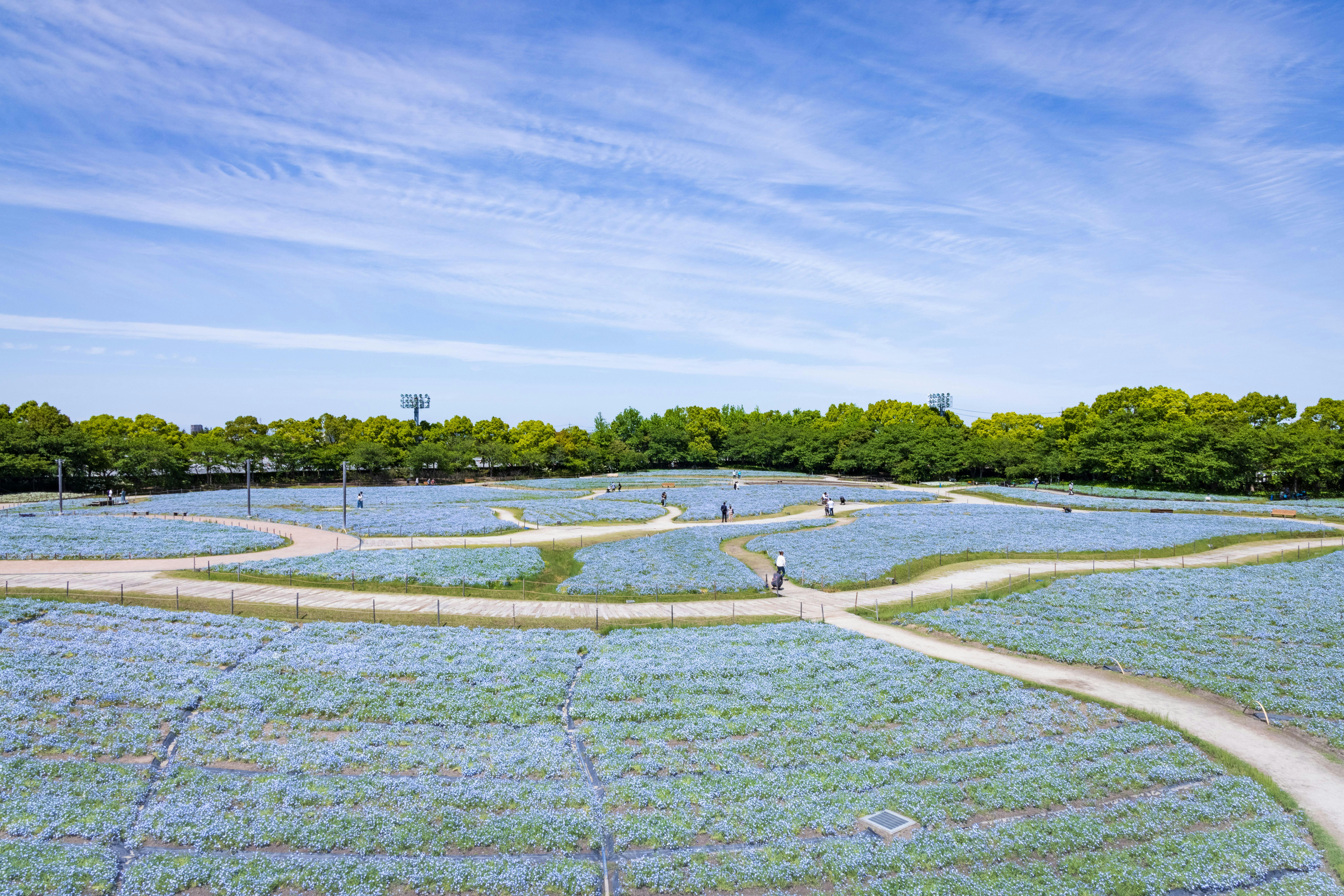 目で見る桑名の100年 写真が語る激動のふるさと一世紀 （三重県