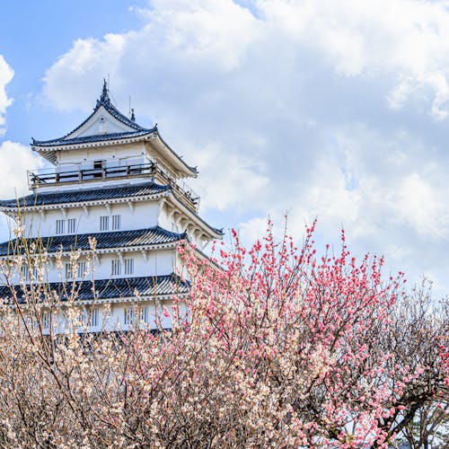 22年 島原で人気の観光 お出かけスポット 22選 Yahoo トラベル 22年 島原で人気の観光 お出かけスポット 22選 Yahoo トラベル