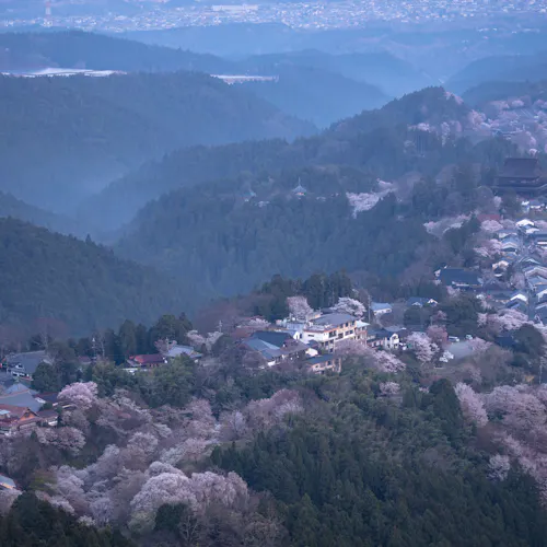 22年 吉野で人気の観光 お出かけスポット 30選 Yahoo トラベル 22年 吉野で人気の観光 お出かけスポット 30選 Yahoo トラベル