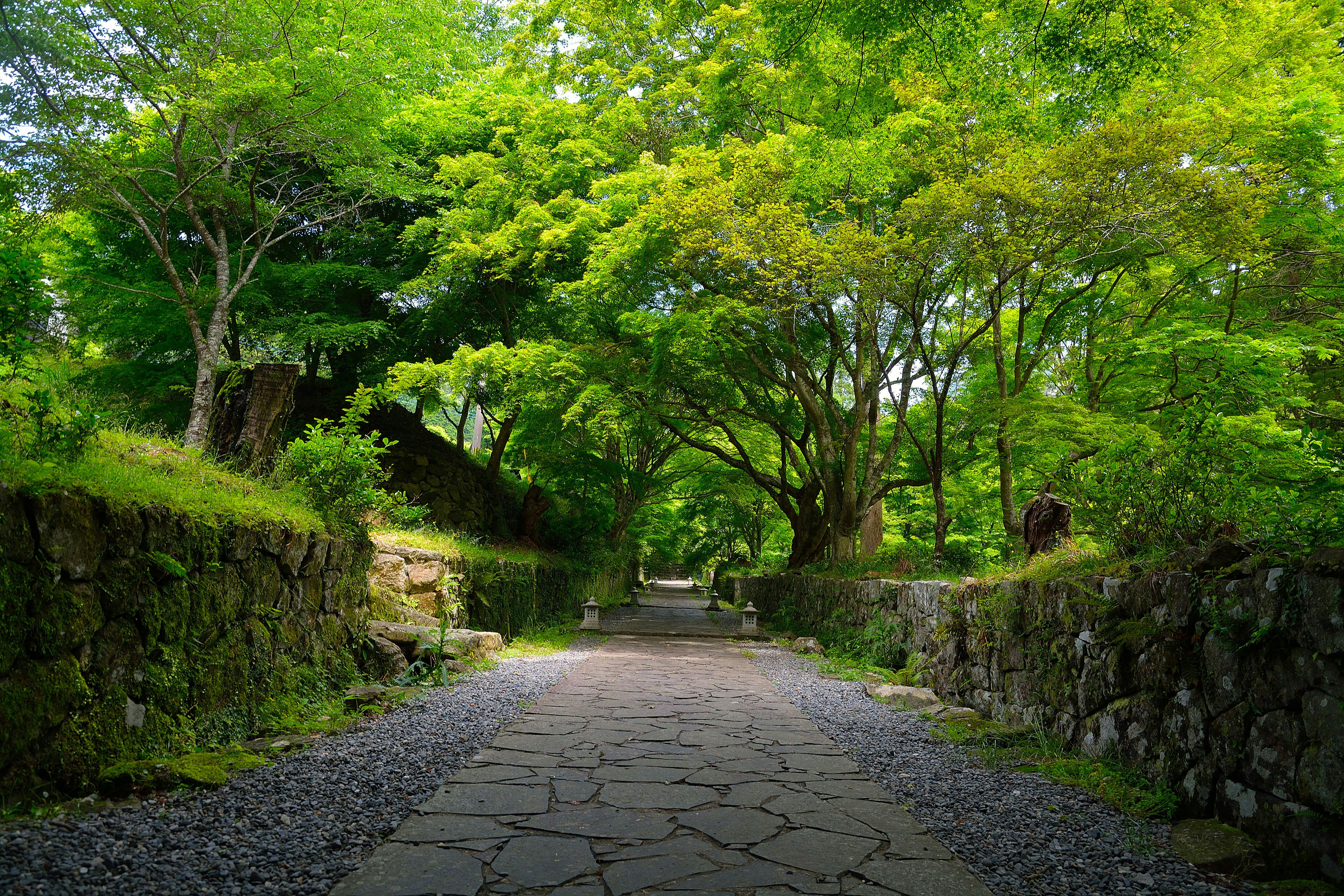 22年 中津 耶馬溪で人気の観光 お出かけスポット 30選 Yahoo トラベル