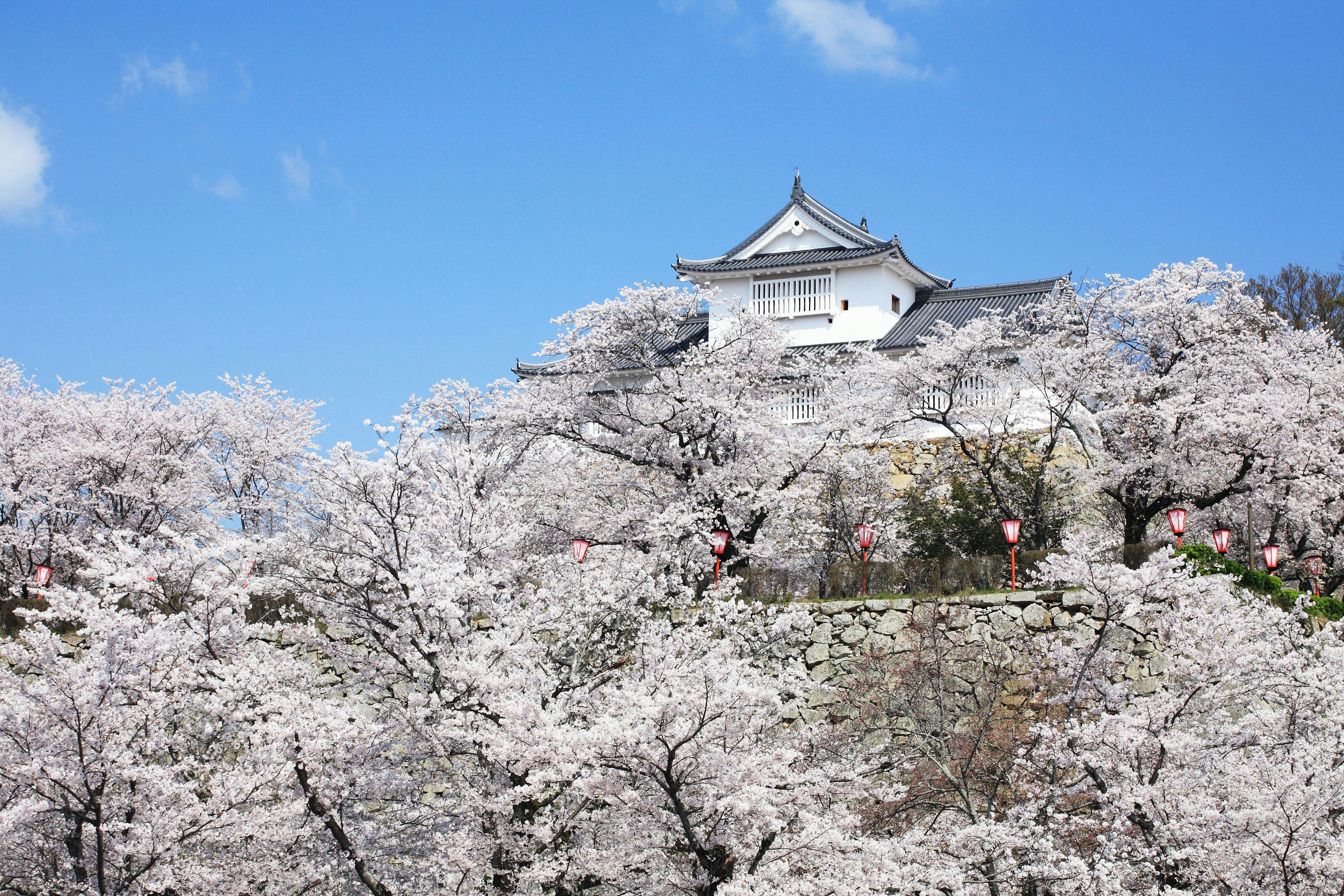 21年 津山で人気の観光 お出かけスポット 19選 Yahoo トラベル