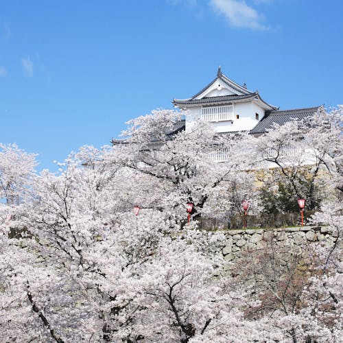 22年 津山で人気の観光 お出かけスポット 19選 Yahoo トラベル 22年 津山で人気の観光 お出かけスポット 19選 Yahoo トラベル