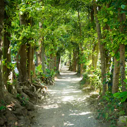 22年 名護で人気の観光 お出かけスポット 30選 Yahoo トラベル 22年 名護で人気の観光 お出かけスポット 30選 Yahoo トラベル