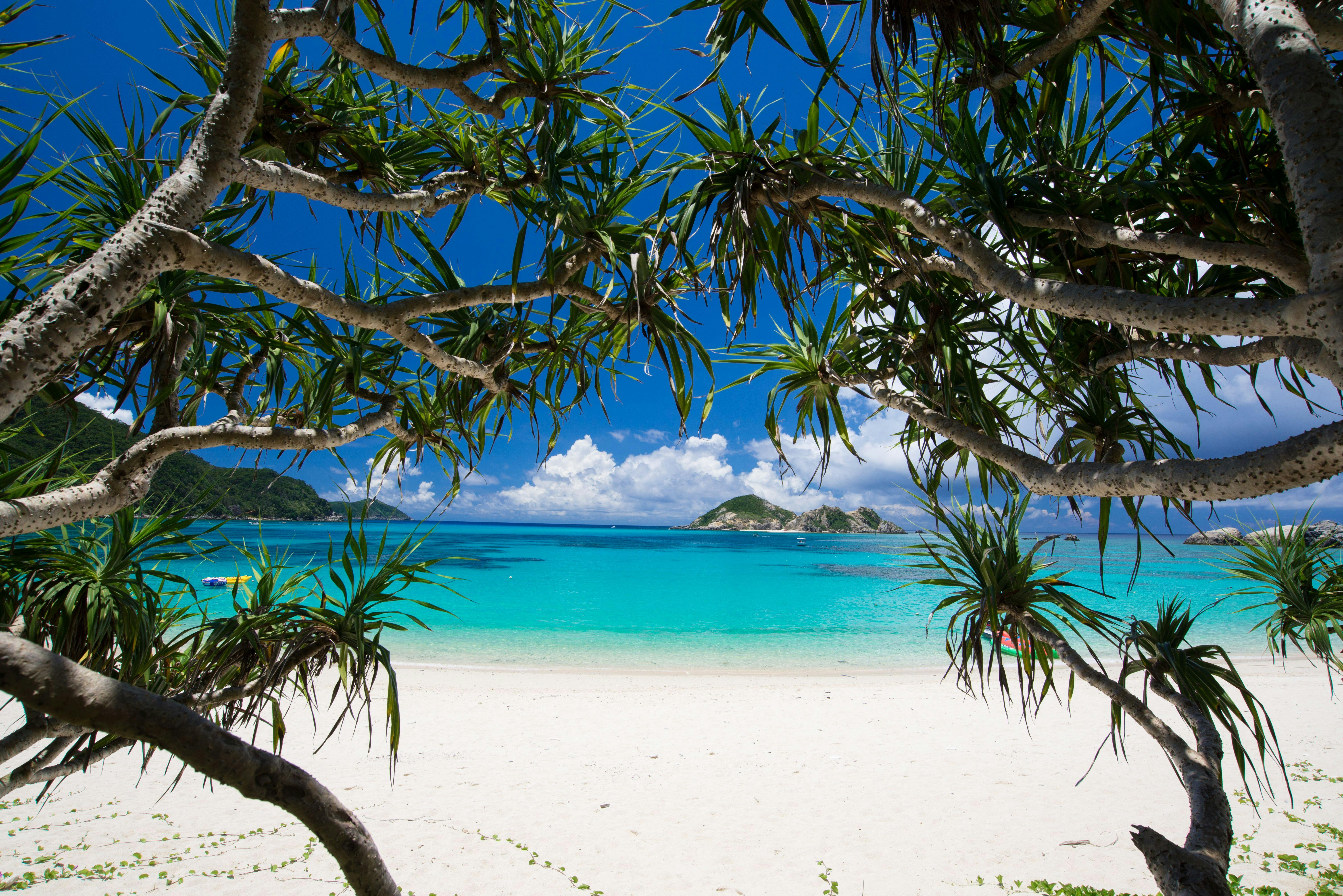 22年 渡嘉敷で人気の観光 お出かけスポット 6選 Yahoo トラベル