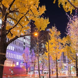 22年 Usj ベイエリアで人気の観光 お出かけスポット 30選 Yahoo トラベル 22年 Usj ベイエリアで人気の観光 お出かけスポット 30選 Yahoo トラベル