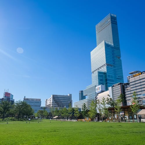 23年 天王寺の花屋で行きたい 天王寺旅行で人気のおすすめスポット Yahoo トラベル 23年 天王寺の花屋で行きたい 天王寺旅行で人気のおすすめスポット Yahoo トラベル