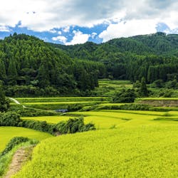 22年 唐津 呼子で人気の観光 お出かけスポット 30選 Yahoo トラベル 22年 唐津 呼子で人気の観光 お出かけスポット 30選 Yahoo トラベル