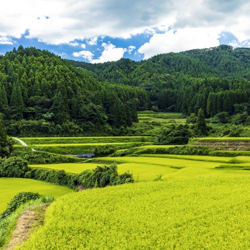 22年 佐賀市で人気の観光 お出かけスポット 30選 Yahoo トラベル 22年 佐賀市で人気の観光 お出かけスポット 30選 Yahoo トラベル